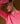 Cashmere trui met ronde hals